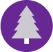edwards-christmas-blog-07